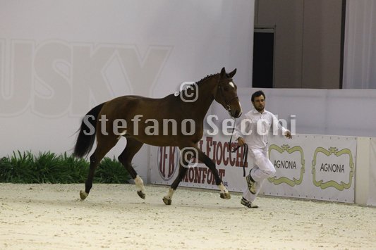 NADA BRAUN_MILANO_2010_SS3_3990.jpg